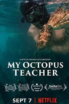 我的章鱼老师 